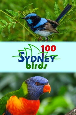 100 Sydney Birds (2022) 100 Sydney Birds (2022)