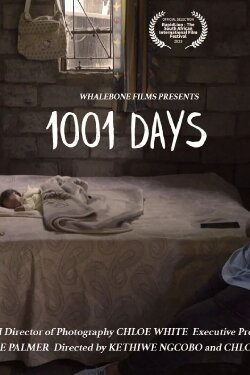 1001 Days (2023)