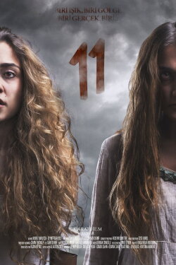 11 (2017)