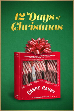 12 Days of Christmas (2020) 12 Days of Christmas (2020)