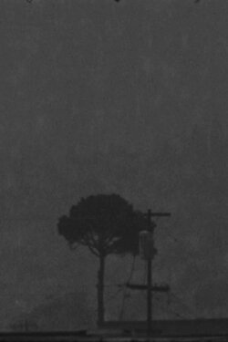 126 (2018) 126 (2018)