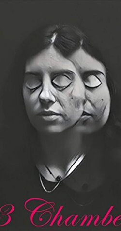 13 Chambers (2017) 13 Chambers (2017)