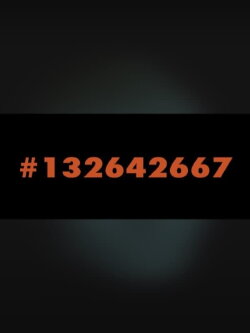 #132642667 (2020)