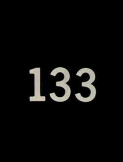 133 (1978) 133 (1978)