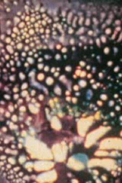 15 Days of Fever (1989) 15 Days of Fever (1989)