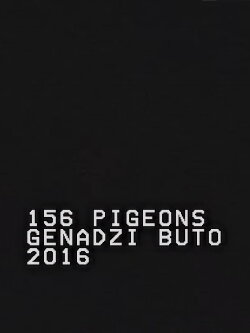 156 Pigeons (2016) 156 Pigeons (2016)