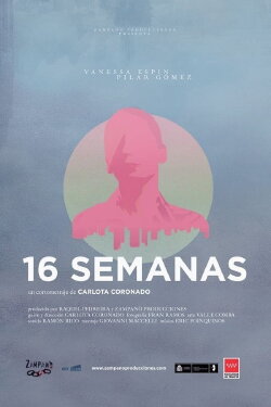 16 semanas (2017)