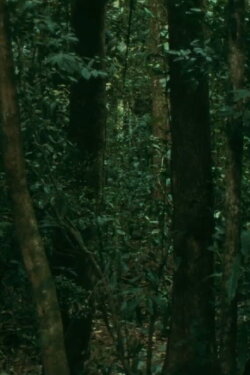 16mm (2015)