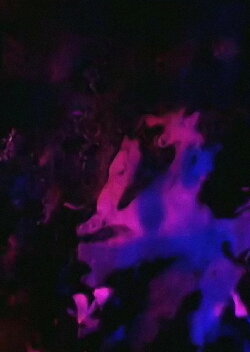 1968 Artifact (2017)