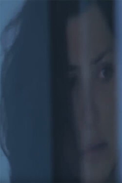 2012 (2010)