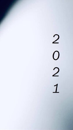 2021 (2020) 2021 (2020)