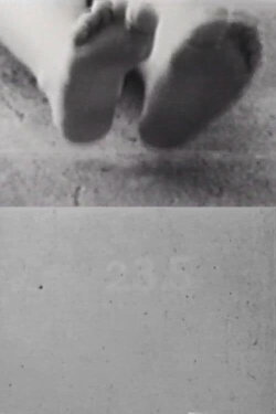 23.5 (1970) 23.5 (1970)