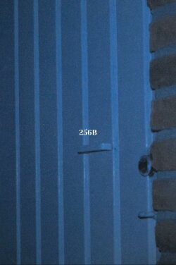 256B (2024)