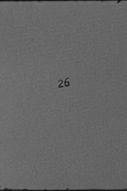 26 (2013)