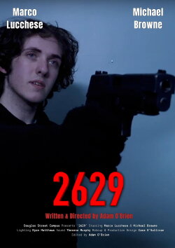 2629 (2025)