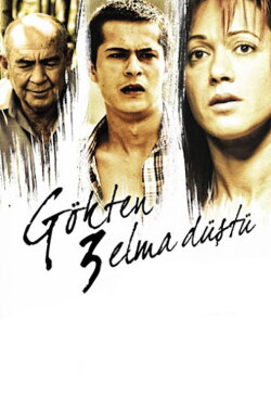 3 Apples Fell from the Sky (2008) 3 Apples Fell from the Sky (2008)
