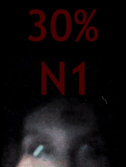 30% da N1 (2023) 30% da N1 (2023)