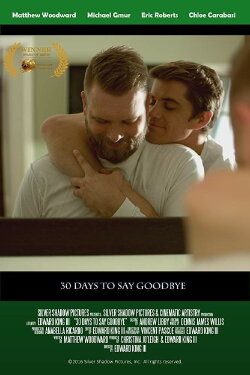 30 Days to Say Goodbye (2017) 30 Days to Say Goodbye (2017)
