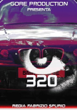 320 (2020)