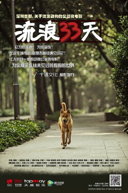 流浪33天 (2013) 流浪33天 (2013)