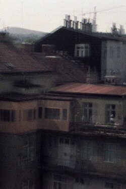 33/77 No Danube (1977) 33/77 No Danube (1977)