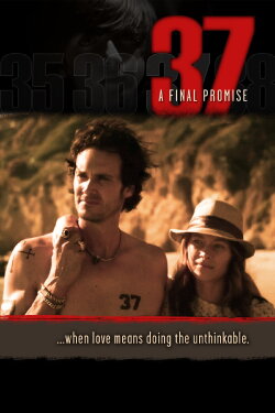 37 (2014) 37 (2014)