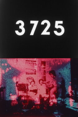 3725 (1981)