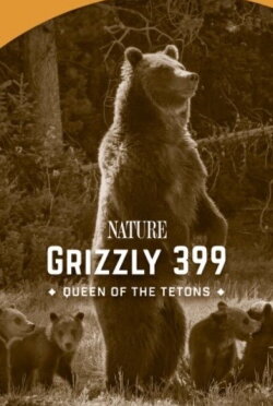 399: Queen of the Tetons (2024)