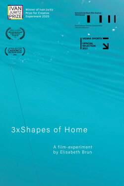 3xShapes of Home (2021)