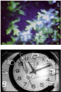 4:44 (from her house home) (1989) 4:44 (from her house home) (1989)