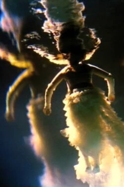 5 Klesas (2010) 5 Klesas (2010)