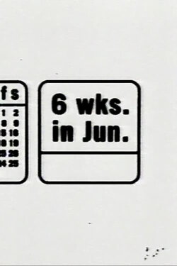 6 Weeks in June (1998)