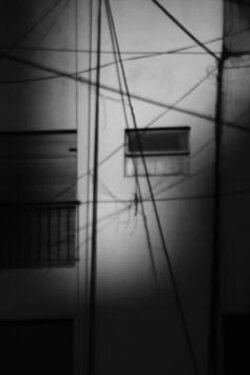 646 (2013)
