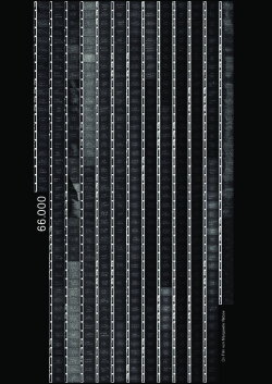 66000 (2018)