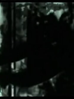 7 Videos: #5 (2006) 7 Videos: #5 (2006)