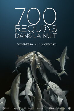 700 Sharks (Gombessa 4, Genesis) (2016) 700 Sharks (Gombessa 4, Genesis) (2016)