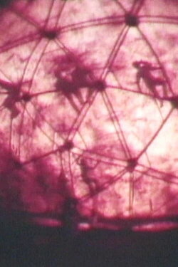7th Annual New York Avant Garde Festival (1969) 7th Annual New York Avant Garde Festival (1969)