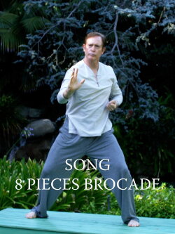 8 Pieces Brocade - Qigong (2018) 8 Pieces Brocade - Qigong (2018)