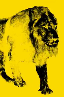 9 Images of a Lion in Movement (1999) 9 Images of a Lion in Movement (1999)