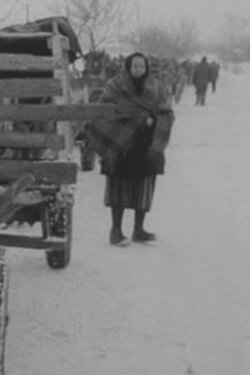 90 Days a Year (1968)