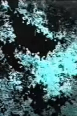 9006 (1999)