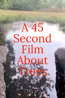 A 45 Second Film About Trees (2022) A 45 Second Film About Trees (2022)