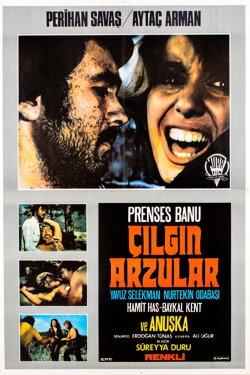 Çılgın Arzular (1974) Çılgın Arzular (1974)