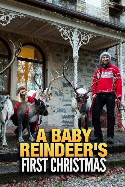 A Baby Reindeer's First Christmas (2020) A Baby Reindeer's First Christmas (2020)