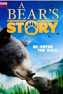 A Bear's Story: Spirit's Adventure (2016) A Bear's Story: Spirit's Adventure (2016)