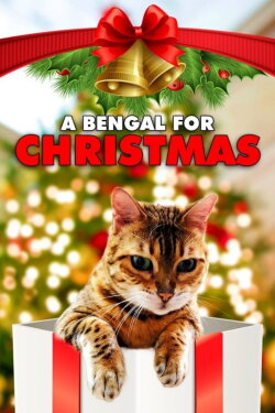 A Bengal for Christmas (2023) A Bengal for Christmas (2023)