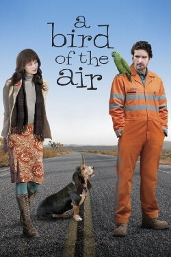 A Bird of the Air (2011) A Bird of the Air (2011)