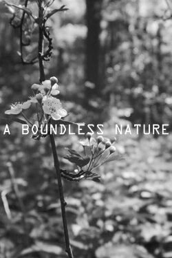 A Boundless Nature (2020) A Boundless Nature (2020)