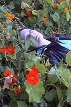 A Brief Summer’s Tale (2008)
