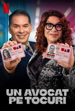 A Bright Lawyer (2025) A Bright Lawyer (2025)